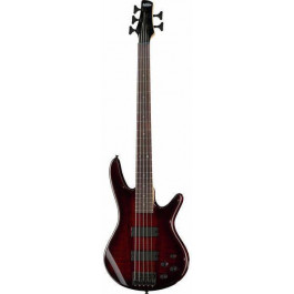   Ibanez GSR205