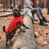 Pet Fashion Жилет для тварин  "E.Vest" XL червоний (4823082424504) - зображення 4