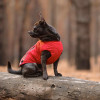 Pet Fashion Жилет для тварин  "E.Vest" XL червоний (4823082424504) - зображення 5