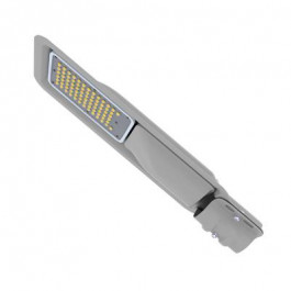   Electrum LED Jasper 60Вт 5000K IP65 (B-LS-1987)