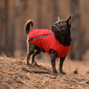 Pet Fashion Жилет для тварин  "E.Vest" S-M червоний (4823082424467) - зображення 5