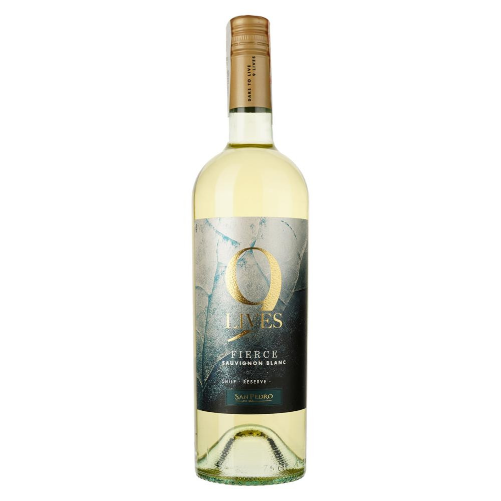 Gato Negro Вино  9 Lives Reserve Sauvignon Blanc біле сухе 12.4%, 750 мл (7804300139247) - зображення 1