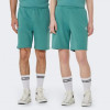 Converse Зелені чоловічі шорти  STANDARD FIT WEARERS LEFT STAR CHEV EMB SHORT con10023875-346 - зображення 1