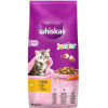 Whiskas Junior с курицей 14 кг (5900951014369) - зображення 1