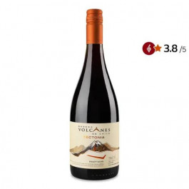   Bodega Volcanes de Chile Вино Volcanes de Chile Tectonia Pinot Noir, 0,75 л (7804315005315)