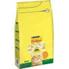 Friskies Indoor С курицей и садовой травой 1,5 кг (7613031341887) - зображення 1