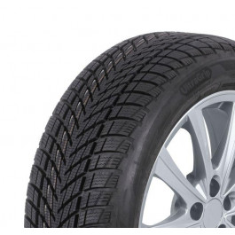   Goodyear UltraGrip Performance 3 (205/50R17 93V)