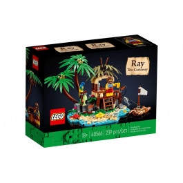   LEGO Потерпілий Рей (40566)