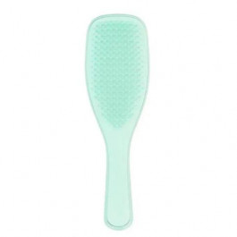   Tangle Teezer Щітка для волосся  The Wet Detangler Fine & Fragile Sea Spray Green (5060630040611)