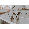 Hansgrohe DogShower 150 3Jet 26640670 - зображення 4