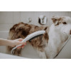 Hansgrohe DogShower 150 3Jet 26640670 - зображення 5