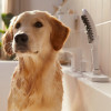 Hansgrohe DogShower 150 3Jet 26640670 - зображення 6