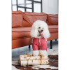 Pet Fashion Комбінезон для собак  Cherry L бордовий (4823082435326) - зображення 5