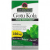 Natures Answer Gotu Kola Healthy Immune Support 330 мг 60 вегетаріанських капсул - зображення 3