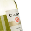 Canti Вино Chardonnay Veneto Medium Sweet белое полусладкое 0.75 л 11.5% (8005415046614) - зображення 3