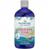 Nordic Naturals Children's DHA зі смаком полуниці 473 мл - зображення 1