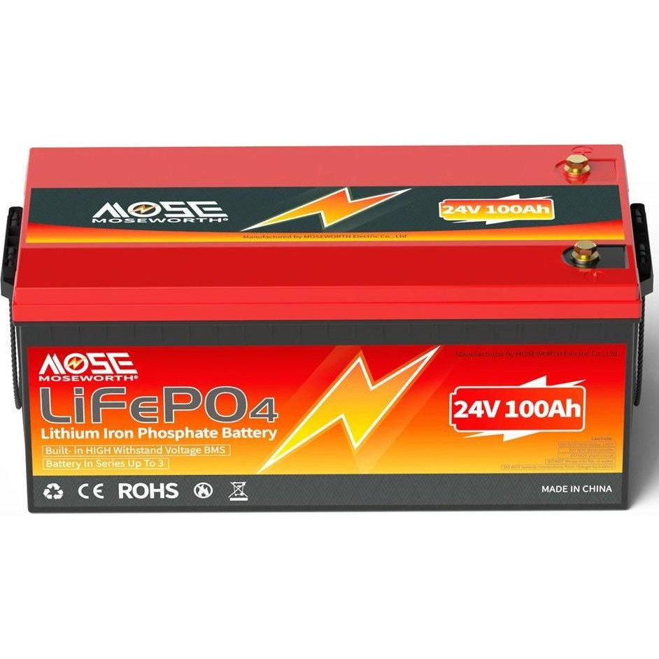 MOSEWORTH LiFePO4 24V 100AH - зображення 1