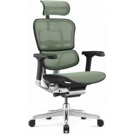   Comfort Seating Ergohuman Elite 2 Green