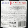 Riunite Вино ігристе  Lambrusco Emilia IGT Rosso, 0,75 л (8002550500254) - зображення 3