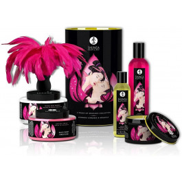 Shunga Romance Cosmetic Kit (SO4497)