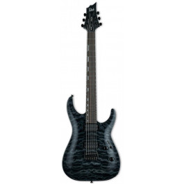   ESP LTD H-1001QM