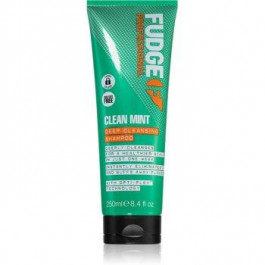   Fudge Clean Mint Shampoo шампунь для жирного волосся 250 мл