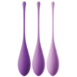   Pipedream Products Fantasy For Her Kegel Train-Her Set (440101)