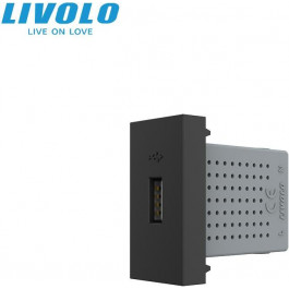   Livolo Механізм розетка USB з блоком живлення  чорний (VL-FCUA-1BP)