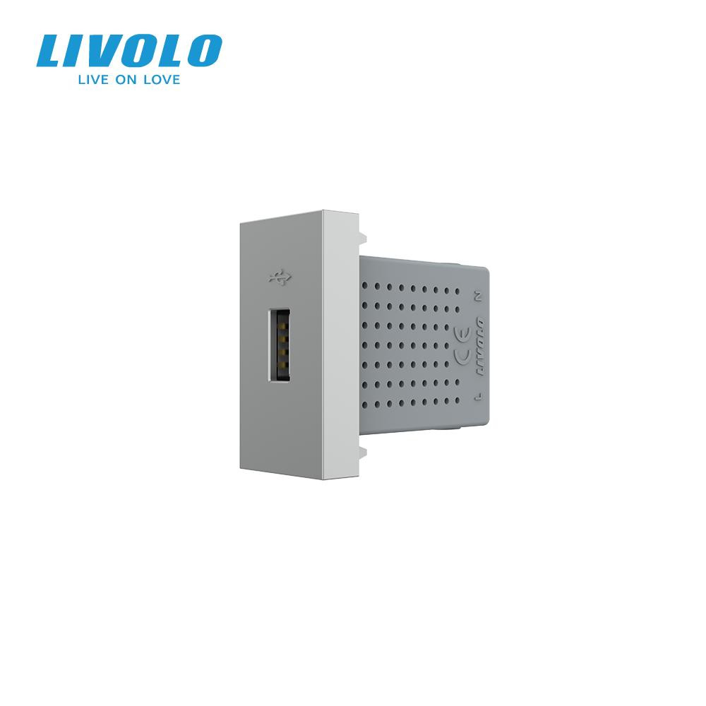 Livolo Механізм розетка USB з блоком живлення  сірий (VL-FCUA-1IP) - зображення 1