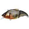 Megabass Vibration-X Vatalion SF / Al Evening Gill - зображення 1