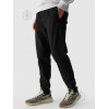 4F Спортивні штани утеплені чоловічі  Trousers Cas M0944 4FWMM00TTROM0944-20S S Чорні (5905700002154) - зображення 1