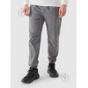 4F Спортивні штани утеплені чоловічі  Trousers Cas M0944 4FWMM00TTROM0944-25S S Сірі (5905700002284) - зображення 1