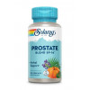 Solaray Prostate Blend SP-16, 100 VegCaps - зображення 1