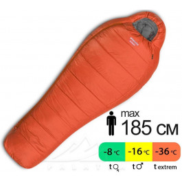   Pinguin Expert CCS / 185cm left, orange (233155)