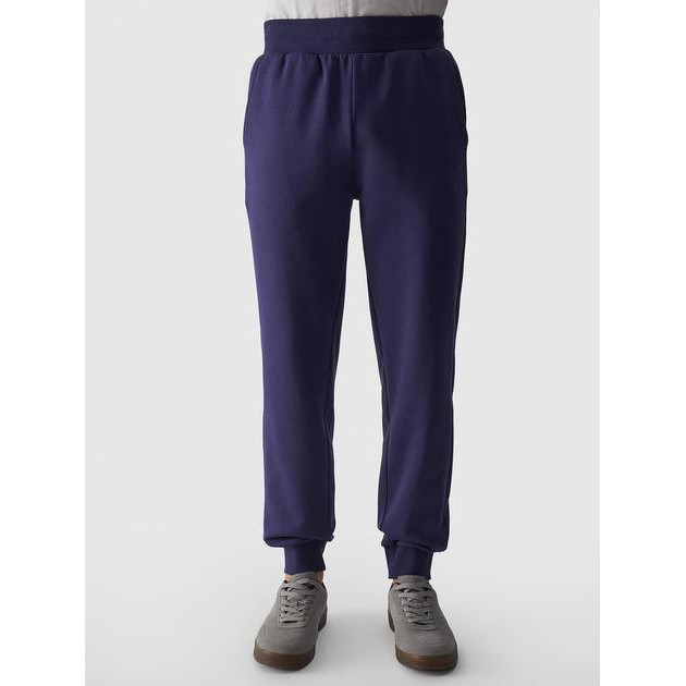 4F Спортивні штани утеплені чоловічі  Trousers Cas M0943 4FWMM00TTROM0943-31S L Сині (5905700008064) - зображення 1