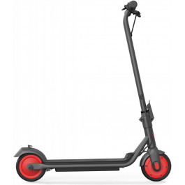   Ninebot eKickScooter ZING C20 Black (AA.00.0011.54)