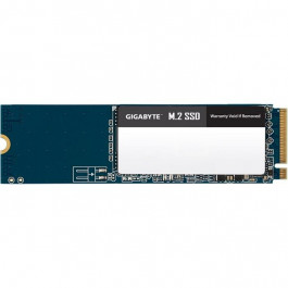   GIGABYTE GM2500G