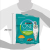 Purina One DualNature со спирулиной 0,75 кг (7613036257633) - зображення 4