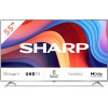 Sharp 4T-C55GP6260ES - зображення 1