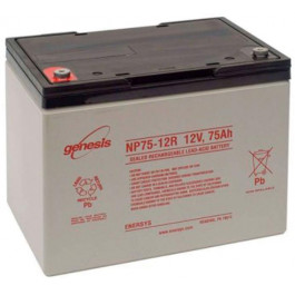   Enersys NP75-12