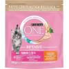 Purina One Junior Cat Chicken & WhlG 450 г (8445290071972) - зображення 1