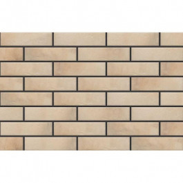   CERRAD Loft brick Salt 1с 24,5*6,5*0,8 см