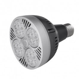   Brille LED E27 35W NW PAR30 (32-941)