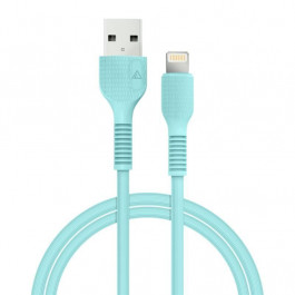   ACCLAB AL-CBCOLOR-L1MT USB to Lightning 1.2m Mint (1283126518195)