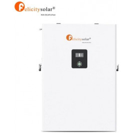   Felicity Solar LPBF48200-H