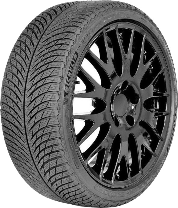 Michelin Pilot Alpin 5 (255/30R20 92W) - зображення 1