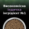 Pro Plan LiveClear Kitten Turkey 1,4 кг (7613287232526) - зображення 9