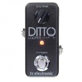   TC Electronic Ditto+ Looper