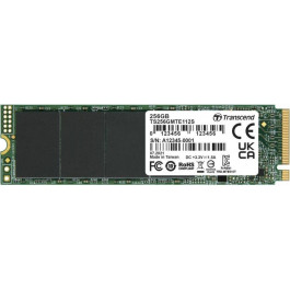   Transcend 110S 256 GB (TS256GMTE110S)