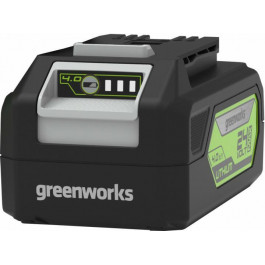   GreenWorks G24USB4